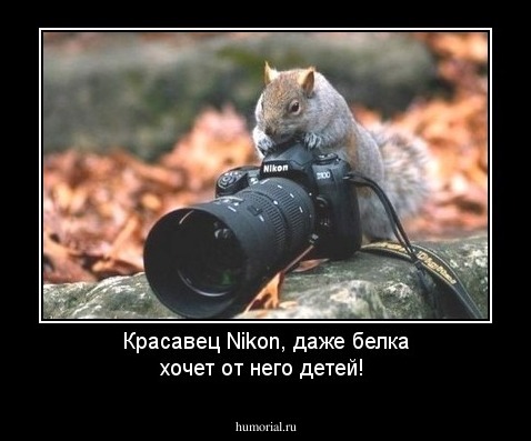 Красавец Nikon, даже белка хочет от него детей!