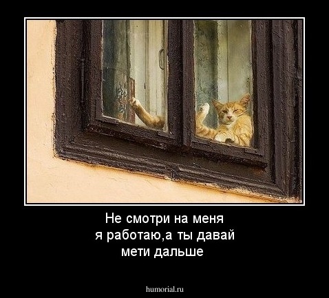 Не смотри на меня я работаю,а ты давай мети дальше