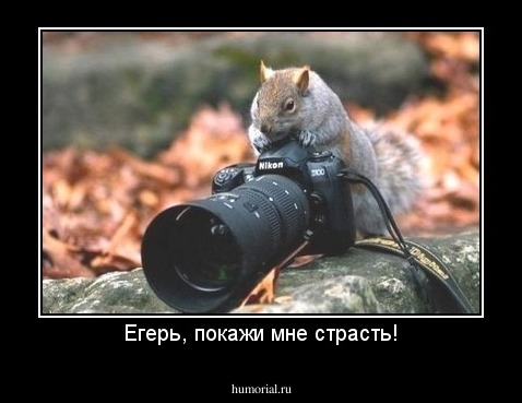 Егерь, покажи мне страсть!