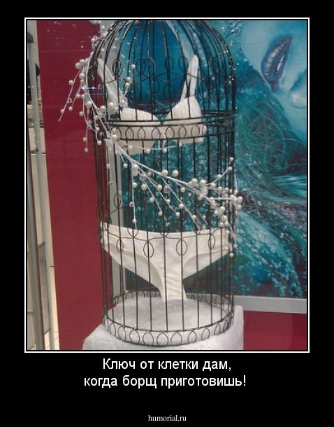 Ключ от клетки дам, когда борщ приготовишь!