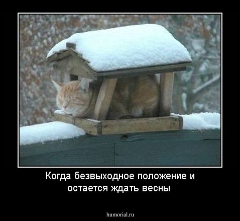 Когда безвыходное положение и остается ждать весны