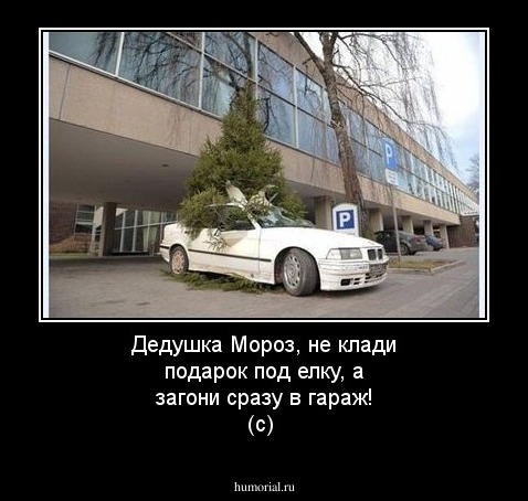 Дедушка Мороз, не клади подарок под елку, а загони сразу в гараж! (с)