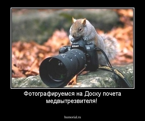 Фотографируемся на Доску почета медвытрезвителя!