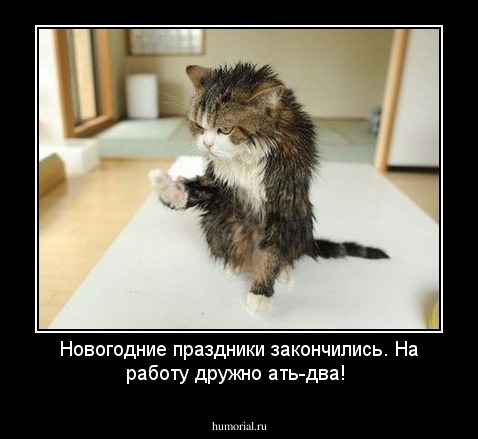 Новогодние праздники закончились. На работу дружно ать-два!