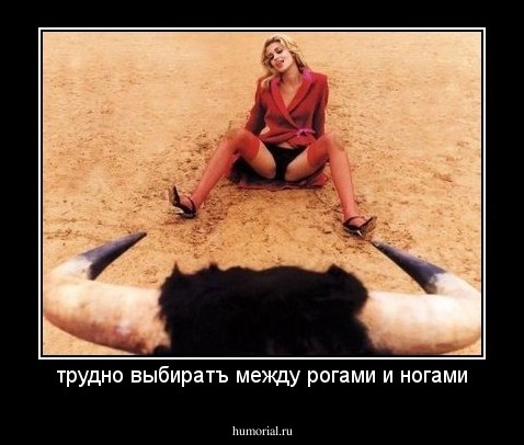 трудно выбиратъ между рогами и ногами