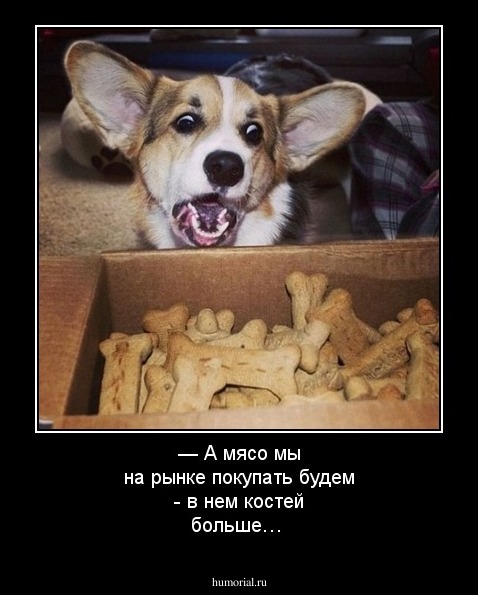 — А мясо мы на рынке покупать будем - в нем костей больше…