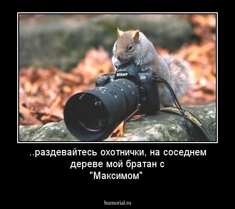 ..раздевайтесь охотнички, на соседнем дереве мой братан с "Максимом"