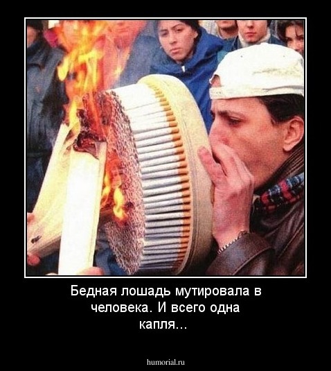 Бедная лошадь мутировала в человека. И всего одна капля...
