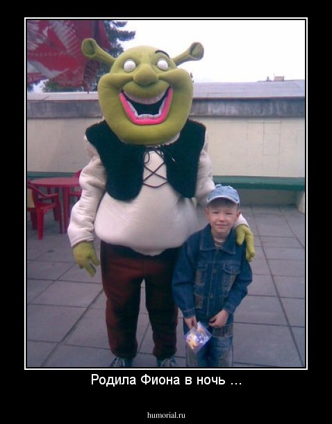 Родила Фиона в ночь ...