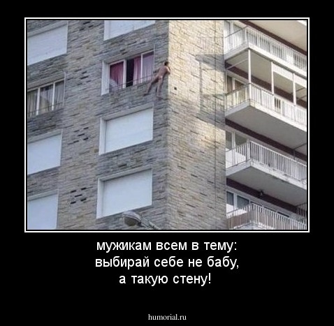 мужикам всем в тему: выбирай себе не бабу, а такую стену! 