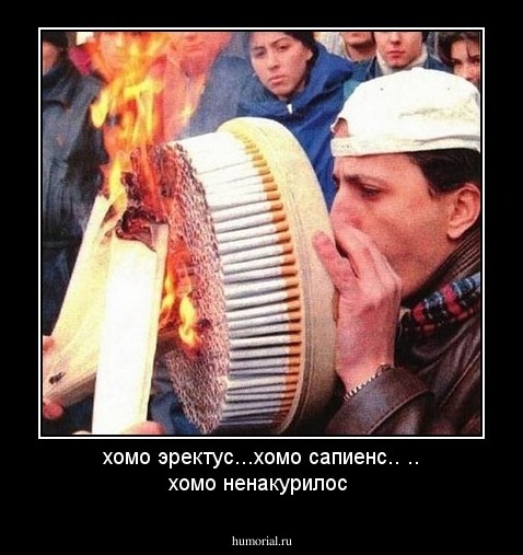 хомо эректус...хомо сапиенс.. ..
хомо ненакурилос