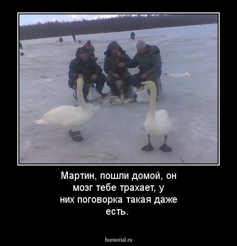 Мартин, пошли домой, он мозг тебе трахает, у них поговорка такая даже есть.