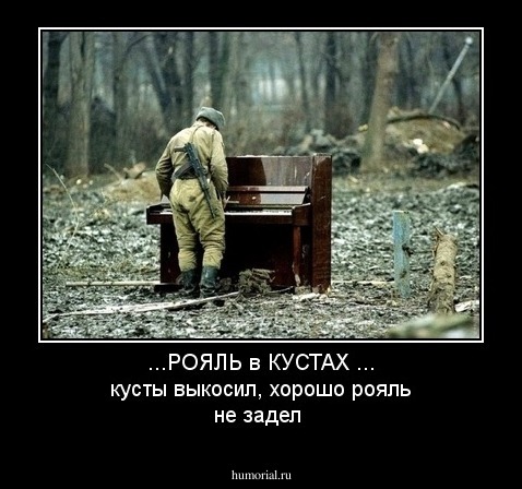 ...РОЯЛЬ в КУСТАХ ... кусты выкосил, хорошо рояль не задел