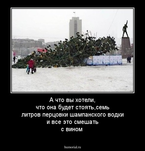 А что вы хотели, что она будет стоять,семь литров перцовки шампанского водки и все это смешать с вином