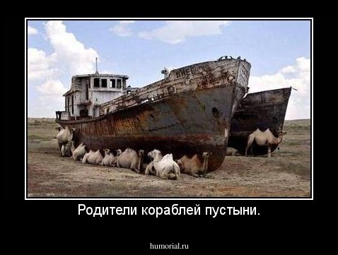 Родители кораблей пустыни.