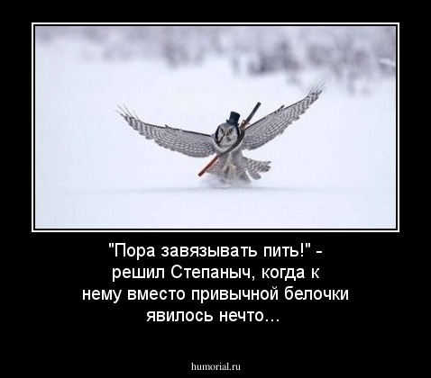 "Пора завязывать пить!" - решил Степаныч, когда к нему вместо привычной белочки явилось нечто...