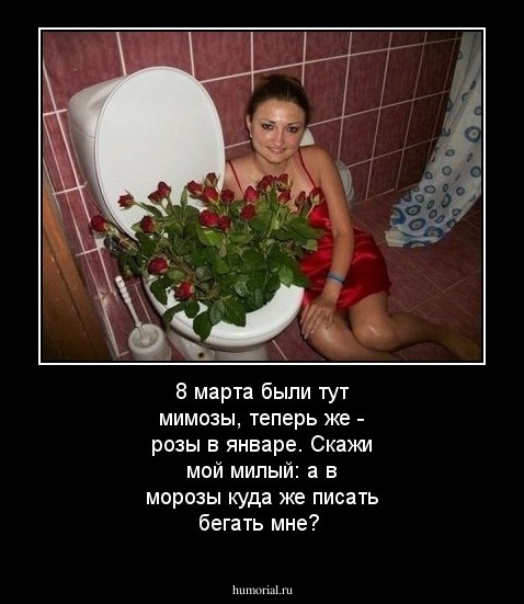 8 марта были тут мимозы, теперь же - розы в январе. Скажи мой милый: а в морозы куда же писать бегать мне?