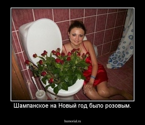 Шампанское на Новый год было розовым.