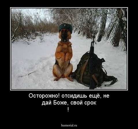  Осторожно! отсидишь ещё, не дай Боже, свой срок !