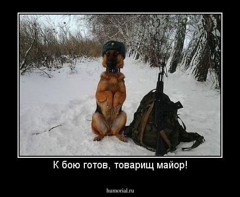 К бою готов, товарищ майор!
