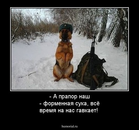 - А прапор наш - форменная сука, всё время на нас гавкает!