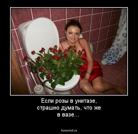 Если розы в унитазе, страшно думать, что же в вазе...