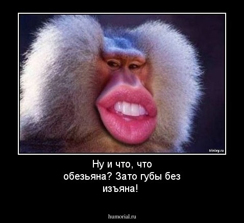 Ну и что, что обезьяна? Зато губы без изъяна!