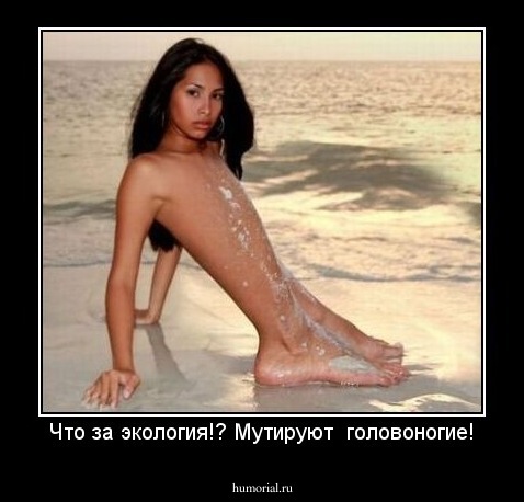 Что за экология!? Мутируют  головоногие!