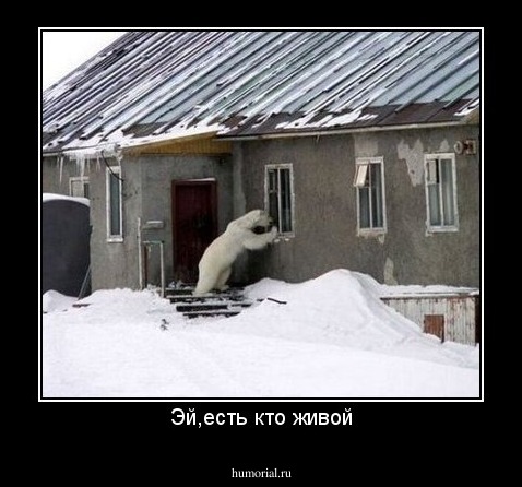 Эй,есть кто живой