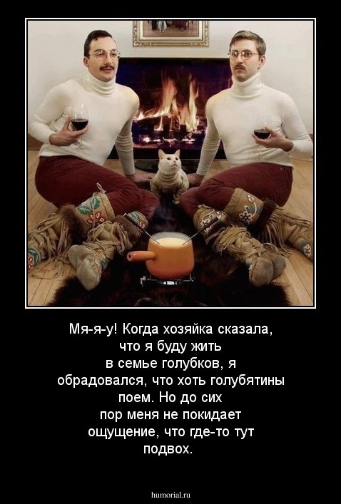 Мя-я-у! Когда хозяйка сказала, что я буду жить в семье голубков, я обрадовался, что хоть голубятины поем. Но до сих пор меня не покидает ощущение, что где-то тут подвох.