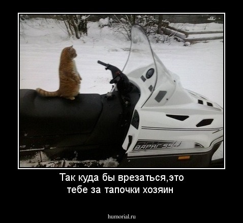 Так куда бы врезаться,это тебе за тапочки хозяин