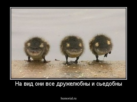 На вид они все дружелюбны и сьедобны