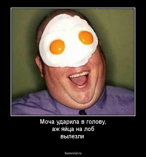 Моча ударила в голову, аж яйца на лоб вылезли