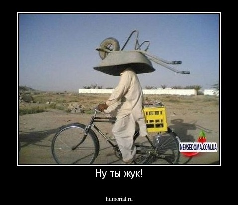 Ну ты жук!