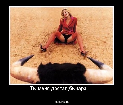 Ты меня достал,бычара....