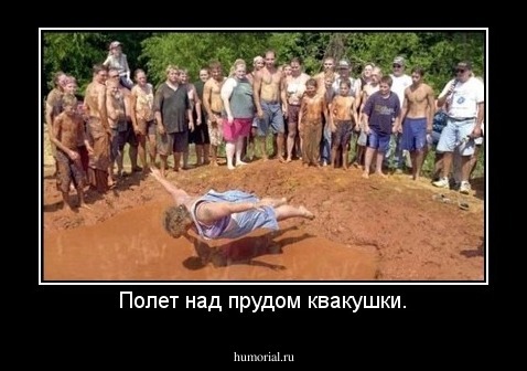 Полет над прудом квакушки.