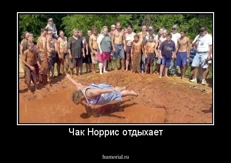 Чак Норрис отдыхает