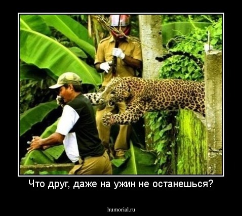 Что друг, даже на ужин не останешься?