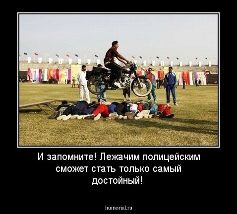 И запомните! Лежачим полицейским сможет стать только самый достойный!