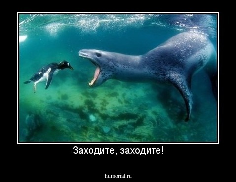 Заходите, заходите!