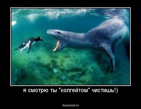 я смотрю ты "колгейтом" чистишь!)