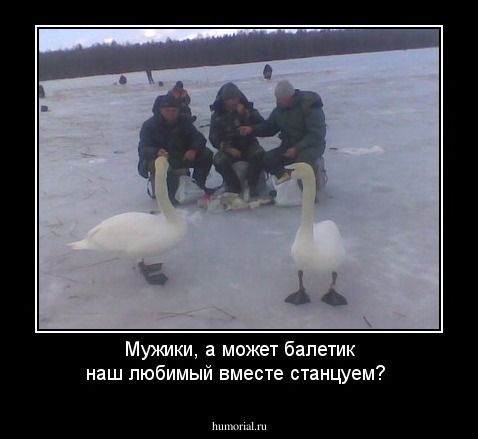 Мужики, а может балетик наш любимый вместе станцуем?