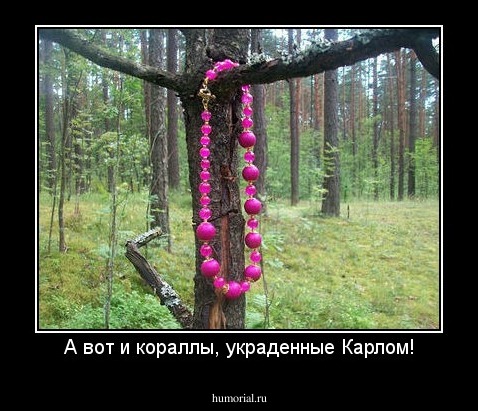 А вот и кораллы, украденные Карлом!