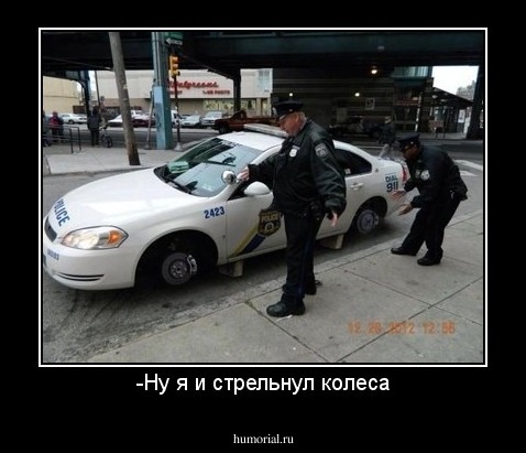 -Ну я и стрельнул колеса