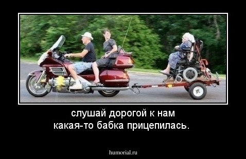 слушай дорогой к нам какая-то бабка прицепилась.