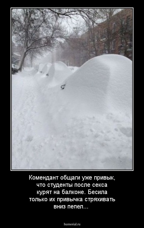 Комендант общаги уже привык, что студенты после секса  курят на балконе. Бесила только их привычка стряхивать вниз пепел...