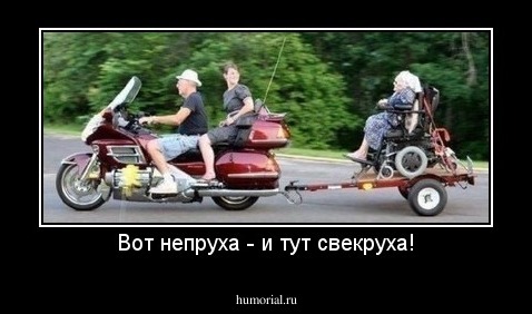 Вот непруха - и тут свекруха!
