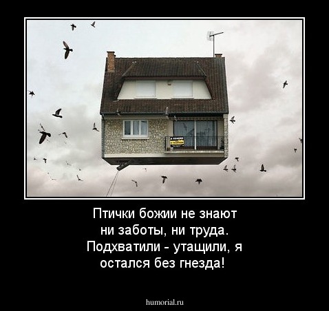 Птички божии не знают ни заботы, ни труда. Подхватили - утащили,  я остался без гнезда!