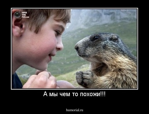 А мы чем то похожи!!!