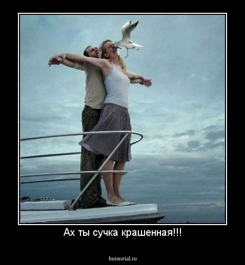 Ах ты сучка крашенная!!!